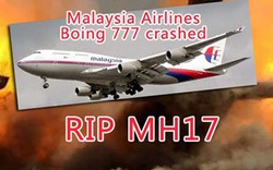Malaysia Airlines đổi số hiệu tuyến bay MH17 thành MH19