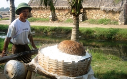 Diêm dân chỉ thu 8.000 đồng/ngày: Nguy cơ xóa sổ nghề muối ở Thanh Hóa