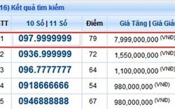 Bỏ 8 tỷ đồng cho một sim điện thoại “thất quý 9“?