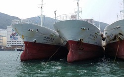 Chồng đại gia Diệu Hiền: Mua 100 tàu sắt cùng ngư dân bám biển là có lợi cho đất nước