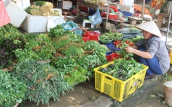 Lạng Sơn: Sau lũ, người dân phải “ăn dè” rau