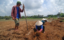 Quyết liệt tái cơ cấu nông nghiệp