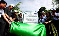 Trồng cây xanh tại đồi Độc Lập nhân kỷ niệm 60 năm Chiến thắng Điện Biên Phủ