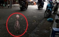 Thực hư chuyện người ngoài hành tinh xuất hiện ở Hà Nội
