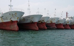 Đại gia sắm 100 tàu ra Hoàng Sa muốn nhập tàu cũ, vay 1.350 tỷ lãi suất 1%