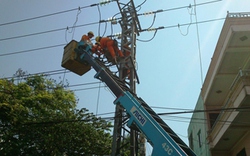 EVN Hà Nội: Tăng cường xử lý vi phạm hành lang lưới điện