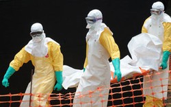 3 phương án khẩn cấp để đối phó với đại dịch Ebola