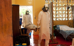 Huyết thanh kháng Ebola: Không dễ sản xuất đại trà