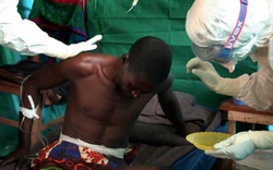 Ban bố tình trạng y tế khẩn cấp toàn cầu vì dịch Ebola