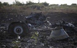 Malaysia bác tin MH17 bị chiến đấu cơ bắn rơi