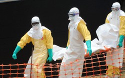 Người Việt cần làm gì trước nguy cơ dịch Ebola?