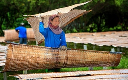 Đảm bảo có việc làm mới tính chuyện mở lớp dạy nghề