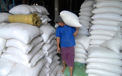 E ngại ký hợp đồng xuất khẩu gạo mới