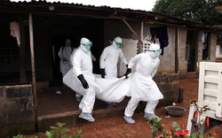 Nỗi đau những gia đình bị xóa sổ vì “sát thủ” Ebola