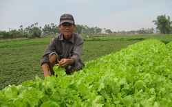 Điện Bàn &#40;Quảng Nam&#41;: Xây dựng nông thôn mới bền vững 