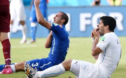 CAS ra phán quyết về vụ “cẩu xực” của Suarez