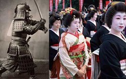 Vì sao con các Samurai hay bị khuyết tật?