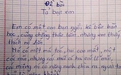 Bài văn miêu tả bạn gái &#34;ngon&#34; bị cô giáo trả lại hút dân mạng 