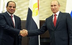 Nguồn nông sản Ai Cập có thể trở thành lối thoát cho kinh tế Nga