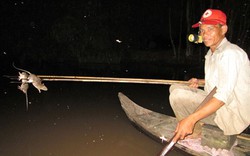 Nửa đêm theo chân thợ săn... chuột đồng chạy lũ