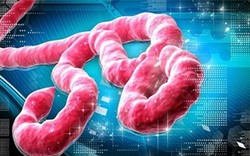 Tuyên truyền phòng chống dịch Ebola cho nông dân