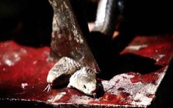 Thực hư chuyện ăn thịt rắn bị thần xà 9 đầu trả thù ở Việt Nam