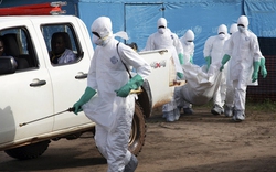 Có 130 người Việt tại các vùng dịch Ebola