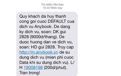 Bị tố lén “móc túi” khách hàng, Viettel Telecom nói gì?