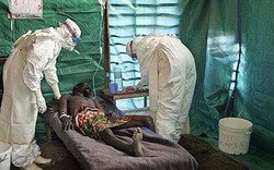 Xuất hiện bệnh nguy hiểm như Ebola?