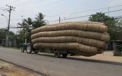 Làng 100 năm với nghề... tre, trúc