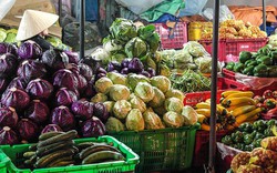 “Đối với thực phẩm Việt Nam, không có trở ngại đặc biệt nào để xuất khẩu sang Nga”