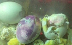 Nhận diện trứng biến dị khác thường: Chuyển màu tím, màu hồng, ứa máu đỏ tươi...
