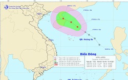 Áp thấp nhiệt đới cách đảo Hoàng Sa 240km