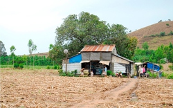 Sống khổ tại “làng vô thừa nhận”