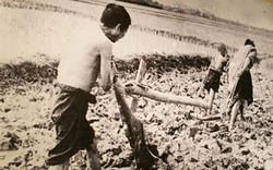 Những hiện vật, tư liệu quý về công cuộc “Cải cách ruộng đất 1946-1957“