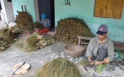 Nguy hiểm như làm... chổi chít