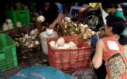 BÀNG HOÀNG “Công nghệ” làm trắng vỏ dừa bằng chất tẩy độc hại