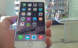 NÓNG: iPhone 6 Plus bất ngờ xuất hiện tại Hà Nội