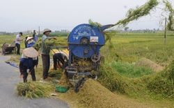 Phát triển công nghiệp hỗ trợ máy nông nghiệp: Chưa làm đã kêu khó