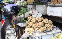 Trái cây Thái Lan “tung hoành” chợ Việt