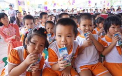 11.600 trẻ em Bắc Ninh được hưởng sữa học đường