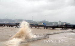 Quảng Ninh sau bão: Cây đổ la liệt, biển báo bị giật tung