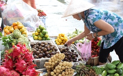 Tiếp bài “Trái cây Thái Lan “tung hoành” chợ Việt”: Nguy cơ mất thị trường  xuất khẩu 