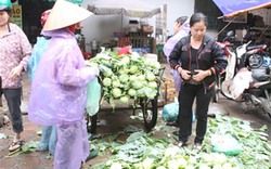 Hà Nội: Mượn cớ mưa bão, rau xanh tăng giá mạnh