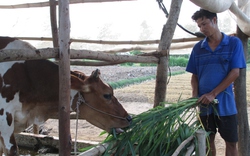 Cần chính sách toàn diện cho phát triển nông nghiệp, nông thôn vùng đồng bào Khmer