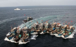 10 năm, xua đuổi gần 7.800 lượt tàu cá Trung Quốc vi phạm chủ quyền