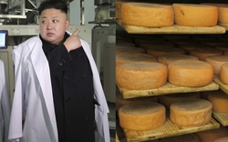 Ông Kim Jong-un “nghiện” pho mát vì muốn được béo như ông nội? 