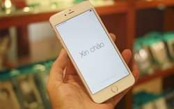 iPhone 6 Plus 128 GB giá 79 triệu đồng tại Việt Nam 