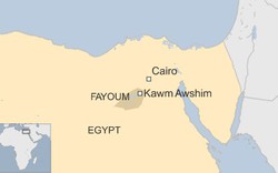 Rơi máy bay tại Ai Cập, 6 người thiệt mạng