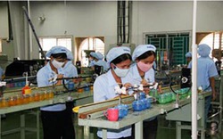 Công nhân Việt trộm cắp, ông chủ ngoại &#34;xanh mặt&#34;